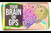 This Is Your Brain on GPS