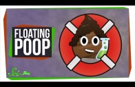 Why Does My Poop Float?
