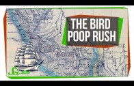 The World’s Bird Poop Obsession