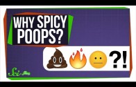 Why Does Spicy Food Burn When You Poop?