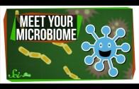 Meet Your Microbiome!