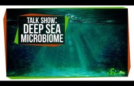 Deep Sea Microbiome: SciShow Talk Show