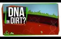 Is There DNA in Dirt?