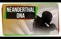 What Neanderthal DNA Is Doing To Your Genome
