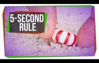 Is the Five-Second Rule Real?