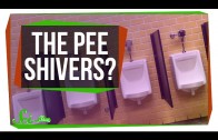 Why Do I Shiver When I Pee?