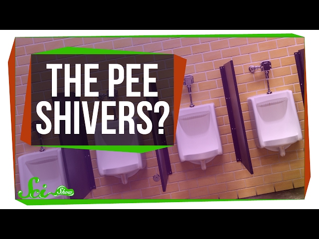 why-do-i-shiver-when-i-pee-era-observer