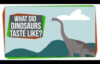 What Did Dinosaurs Taste Like?