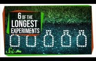 6 of the Longest Experiments Ever