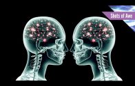 What Is Brain Coupling?