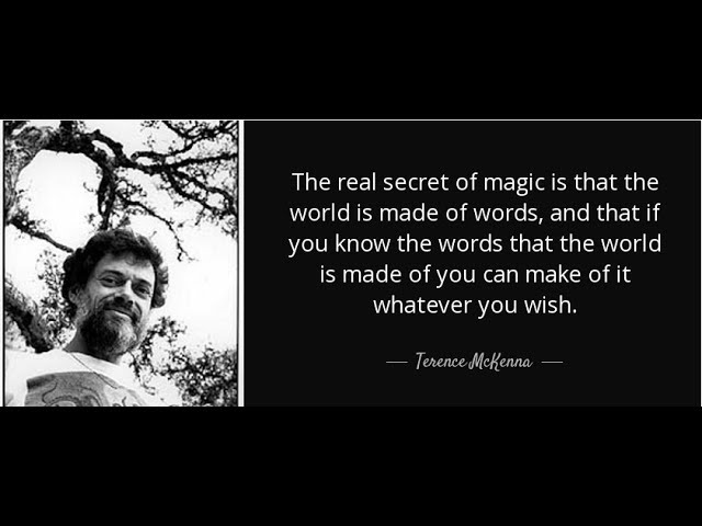 Is Your Language Shaping Your Reality The Shocking Truth - pm249gf